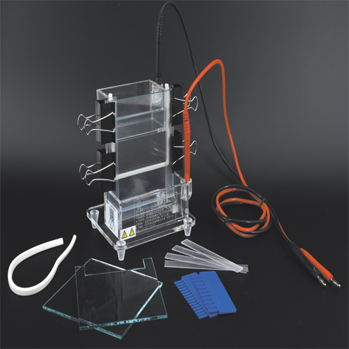 北京六一DYCZ-23A小型單垂直電泳儀