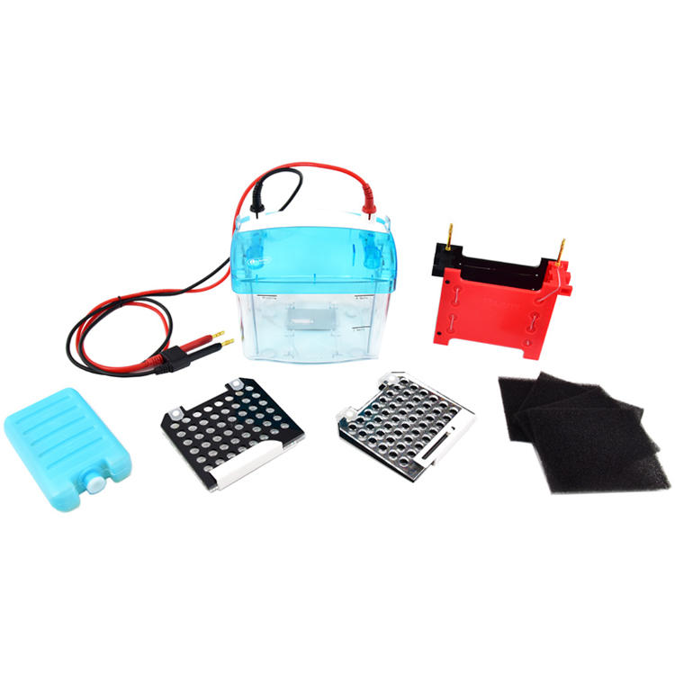 北京六一DYCZ-TRANS2型轉印電泳儀